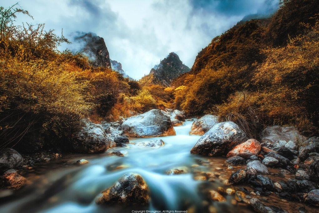 逃离粉红岛
